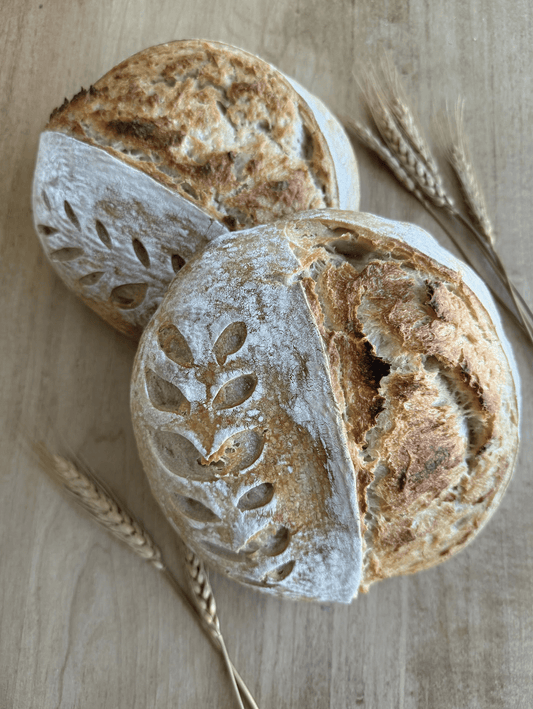 Magazine Feature in Ellis County Living Magazine